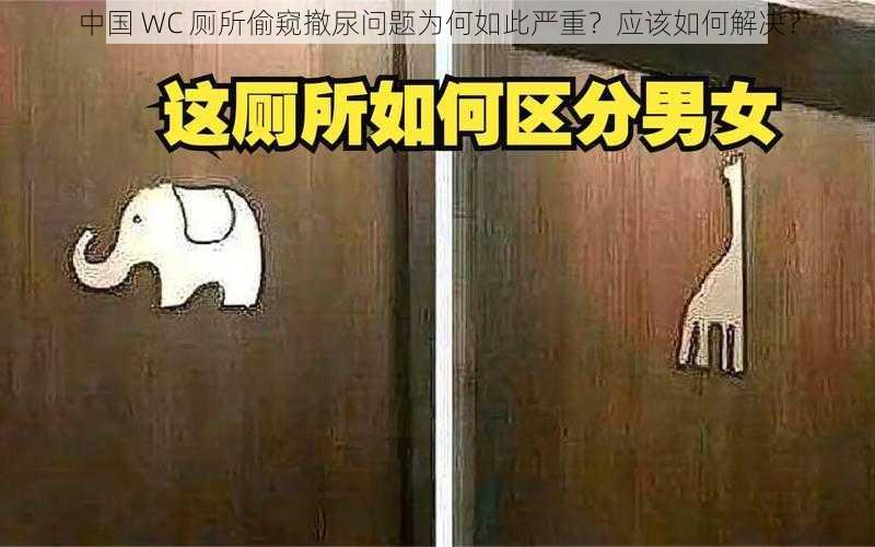 中国 WC 厕所偷窥撤尿问题为何如此严重？应该如何解决？