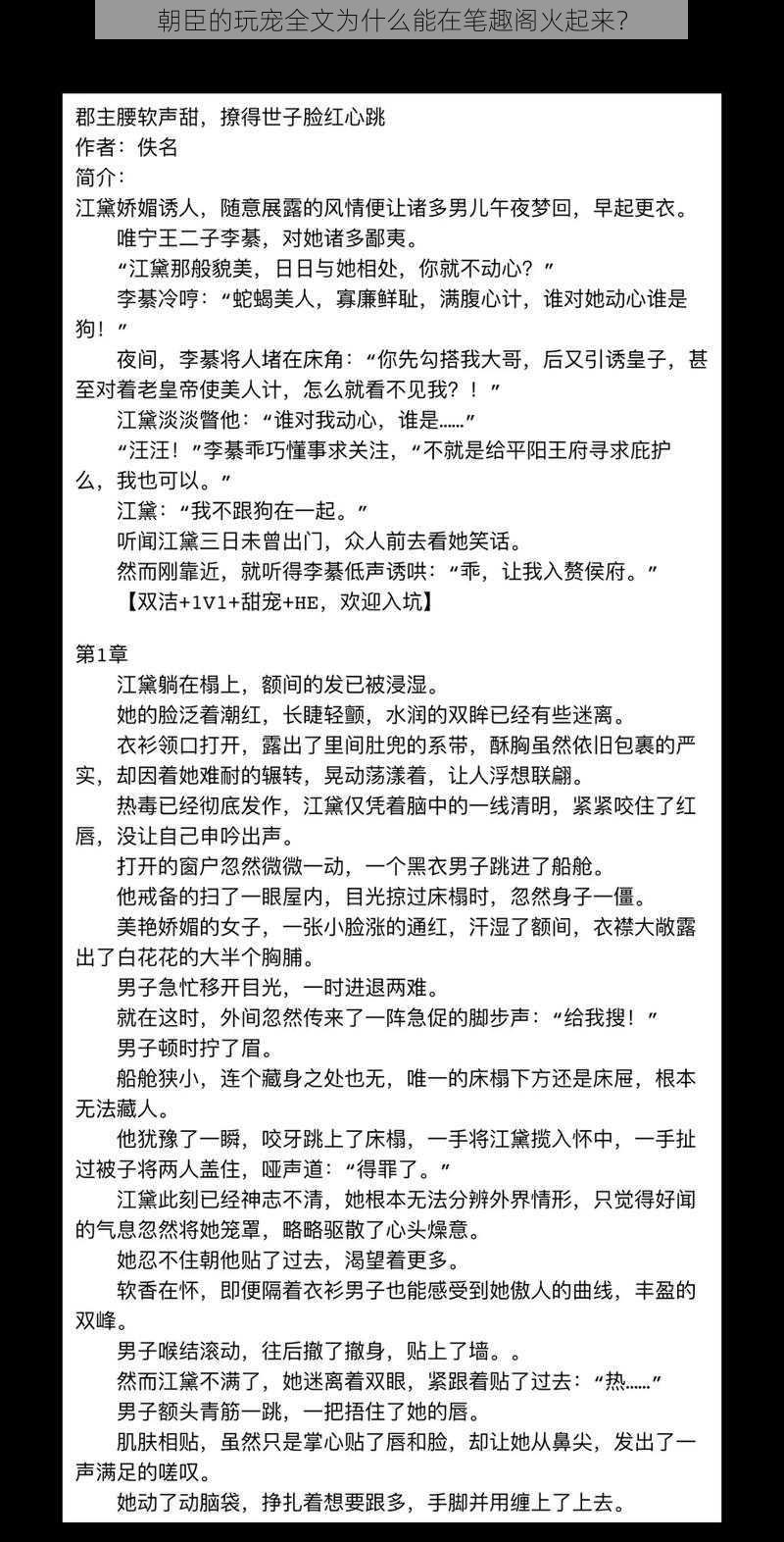 朝臣的玩宠全文为什么能在笔趣阁火起来？