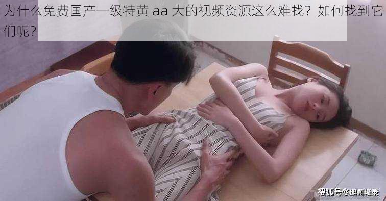 为什么免费国产一级特黄 aa 大的视频资源这么难找？如何找到它们呢？