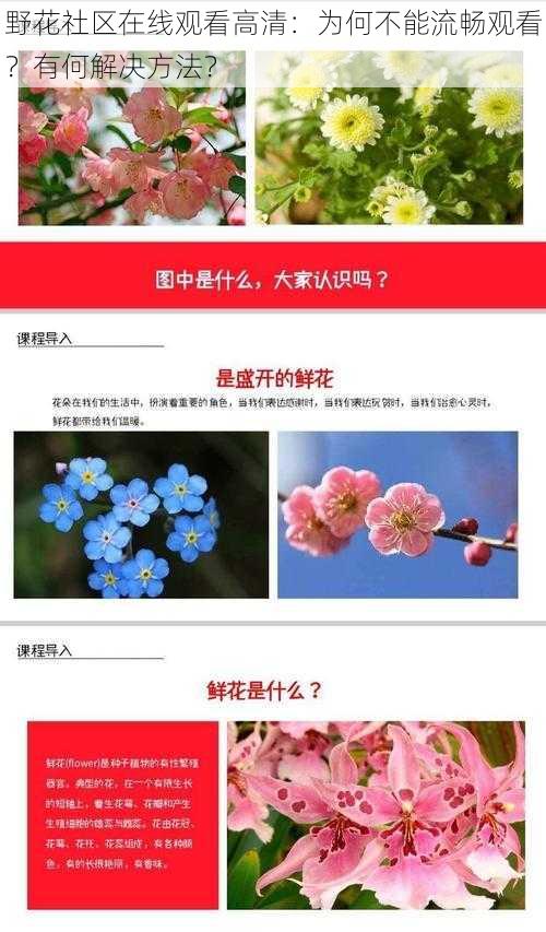 野花社区在线观看高清：为何不能流畅观看？有何解决方法？