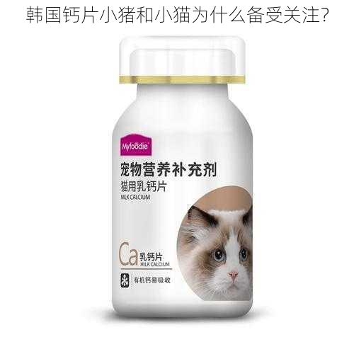 韩国钙片小猪和小猫为什么备受关注？