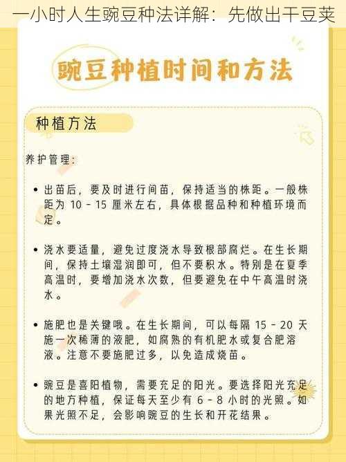 一小时人生豌豆种法详解：先做出干豆荚