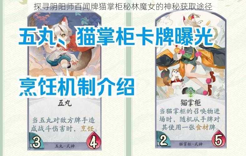 探寻阴阳师百闻牌猫掌柜秘林魔女的神秘获取途径