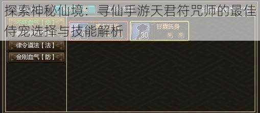 探索神秘仙境：寻仙手游天君符咒师的最佳侍宠选择与技能解析