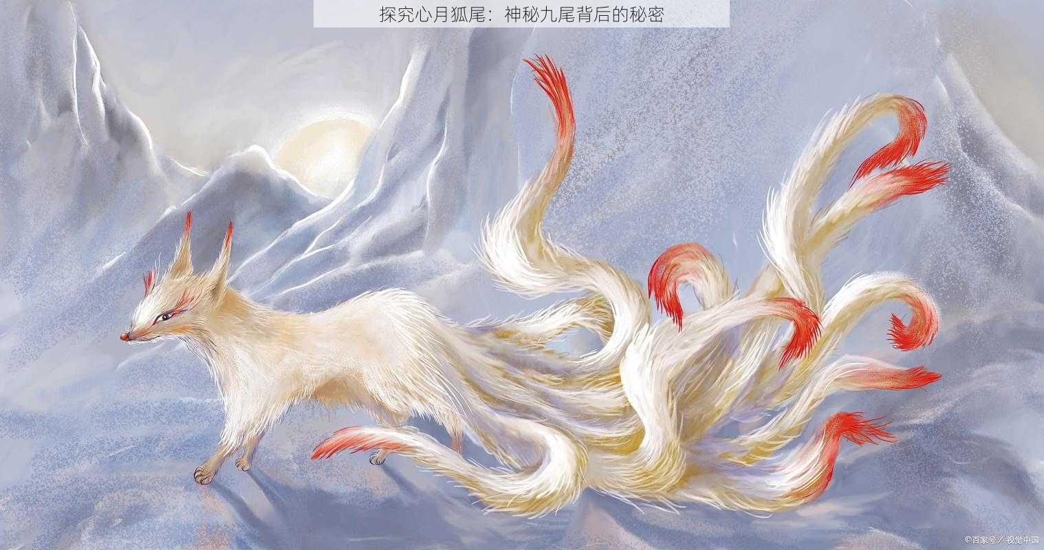 探究心月狐尾：神秘九尾背后的秘密