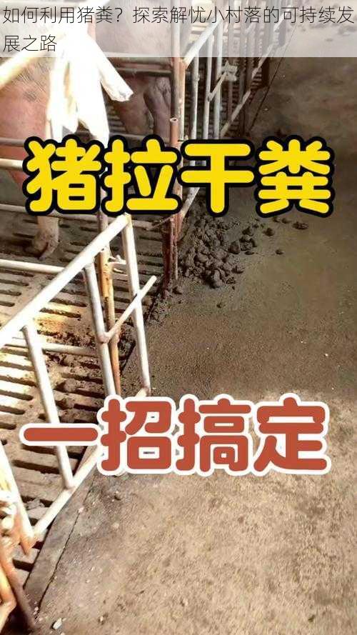 如何利用猪粪？探索解忧小村落的可持续发展之路