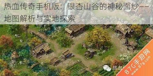 热血传奇手机版：银杏山谷的神秘面纱——地图解析与实地探索