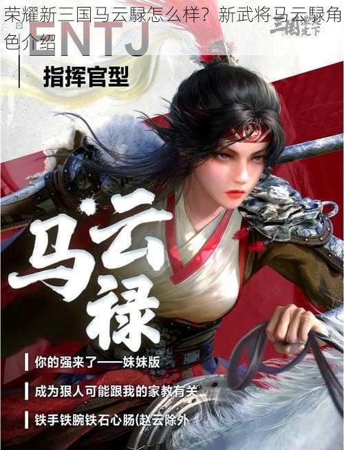 荣耀新三国马云騄怎么样？新武将马云騄角色介绍