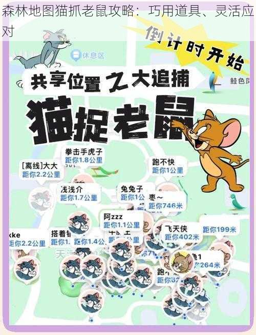 森林地图猫抓老鼠攻略：巧用道具、灵活应对