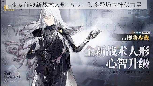 少女前线新战术人形 TS12：即将登场的神秘力量