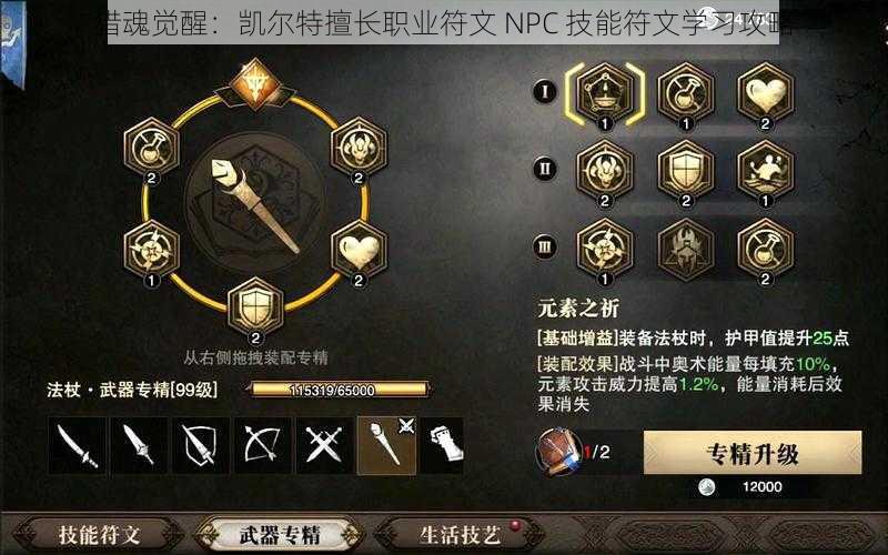 猎魂觉醒：凯尔特擅长职业符文 NPC 技能符文学习攻略