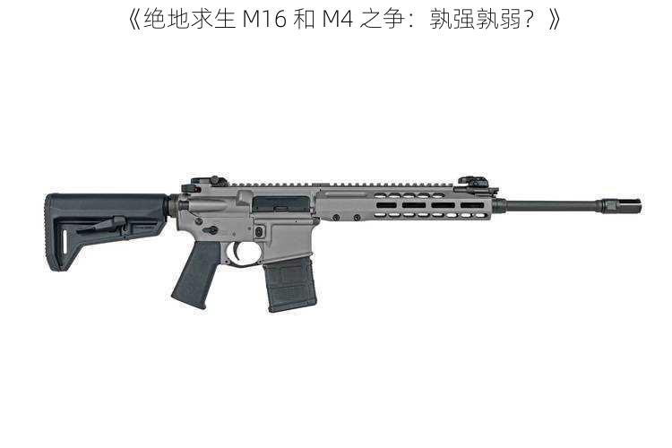 《绝地求生 M16 和 M4 之争：孰强孰弱？》