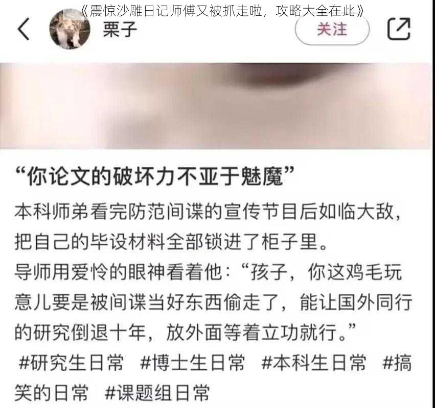 《震惊沙雕日记师傅又被抓走啦，攻略大全在此》